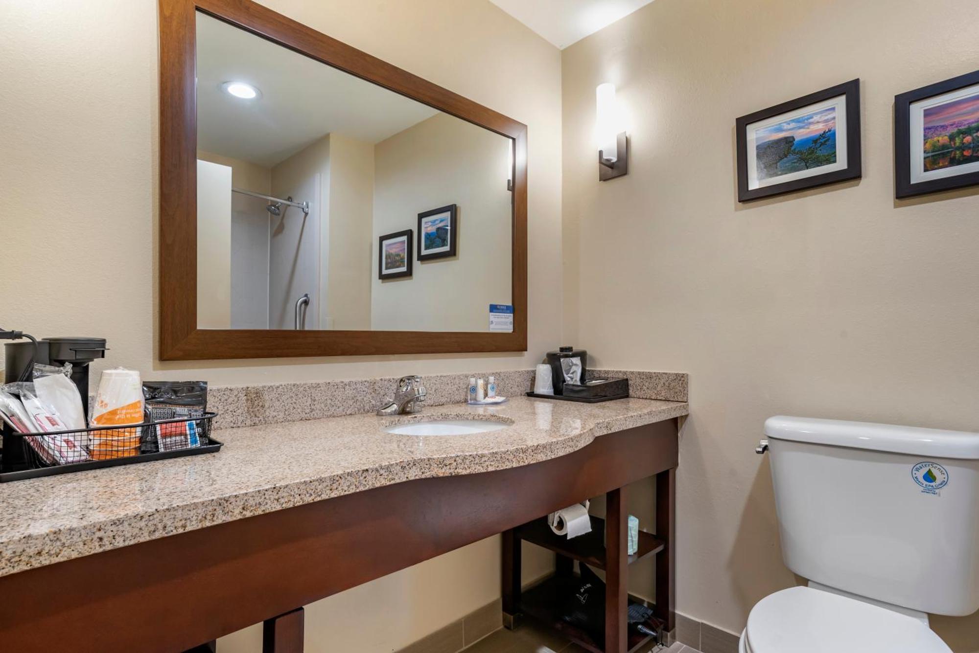 Comfort Suites Pell City I-20 Exit 158 Dış mekan fotoğraf